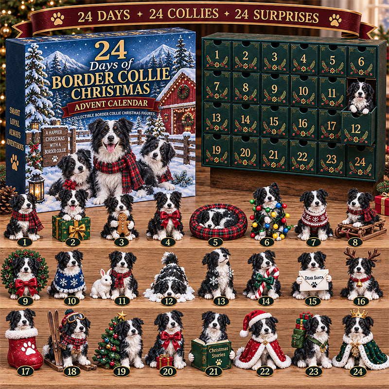🐾 24 Days of Border Collie Christmas 🎄